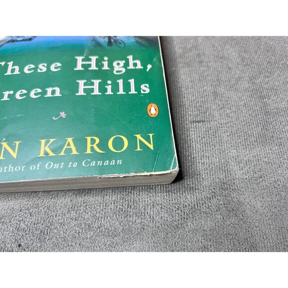 Jan Karon MITFORD YEARS Series PB Book At Home Lot 1-5 New Song Canaan - Picture 8 of 16